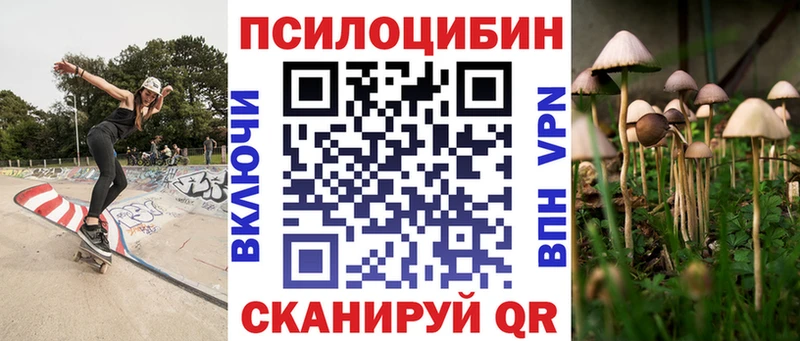 Псилоцибиновые грибы ЛСД  Купить где  Болгар 